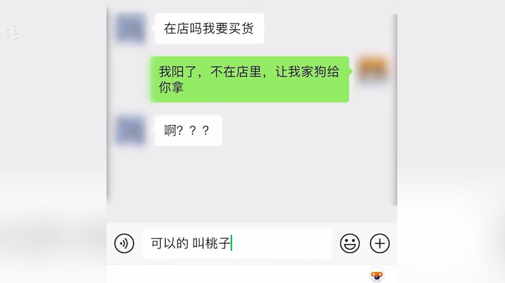 主人生病，阿拉斯加犬帮忙看店“卖货”