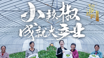 百村安居图（28）：小辣椒成就大产业