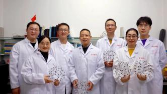 中科大朱彦武团队构建出新型三维碳晶体
