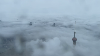 上海今晨大雾弥漫如临仙境，未来4天或迎来“垮塌式”降温