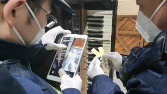 一批日本进口二手立式钢琴上，海关查获象牙制贴片274克