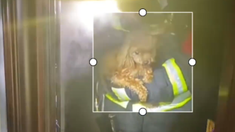 家中无人油锅起火，消防员扑救后抱出一只狗
