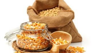 隆平高科育种新进展：玉米大豆产品获农业转基因生物安全证书
