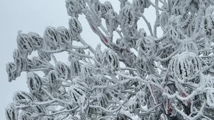 湖南张家界大雪纷飞，游人畅游冰雪美景