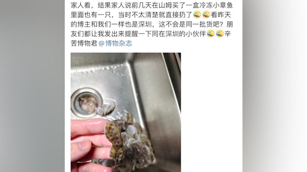 山姆回应深圳网友称买到蓝环章鱼：未发现异常