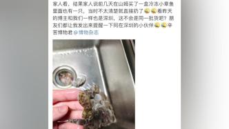 山姆回应深圳网友称买到蓝环章鱼：未发现异常