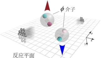 复旦大学马余刚院士团队在夸克物质整体极化研究中取得新突破