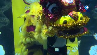 吉隆坡水族馆举行贺新年活动，让游客体验特色年味