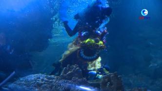 水中舞狮、“财神”拜年……吉隆坡水族馆举行贺新年活动