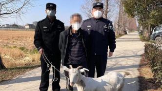 同村人深夜偷羊还顺走鸡！上海崇明警方抓了一只“窝边狼”