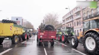 法国图卢兹爆发抗议反对农业新政策
