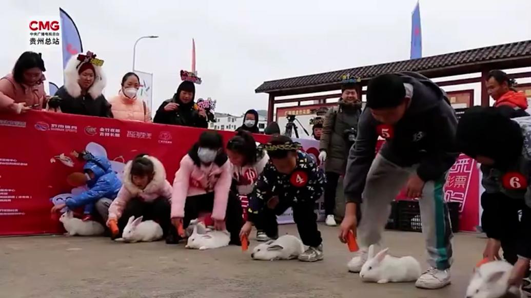 太萌了！贵州长顺县举办“兔兔运动会”