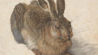 西方美术作品中的兔子：从丢勒的《野兔》看起