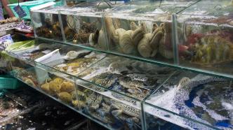 三亚海鲜餐饮协会倡议：建议各类珍稀海产品加价率50%以内