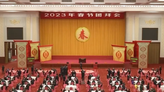 中共中央国务院举行春节团拜会，习近平发表讲话