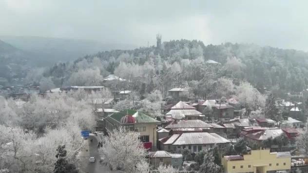 回馈游客！2月1日起庐山风景区免门票一个半月