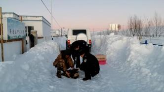 移民管理警察救助野生金雕