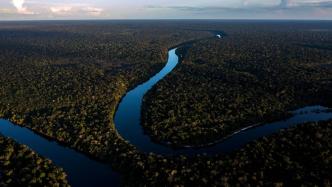 德拟向亚马孙基金提供3800万美元，助巴西保护亚马孙雨林