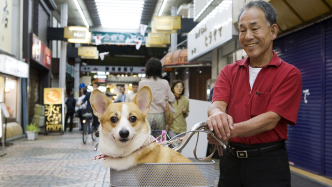 日本一调查：老年人养宠物可降低社保费