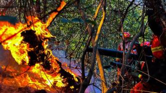 愿平安！广西兴安森林火灾仍在扑救，500余人参与灭火
