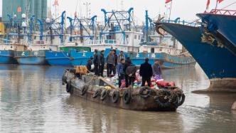 上海陈家镇渔民将开启兔年“第一捕”，东海海鲜最快一周上餐桌
