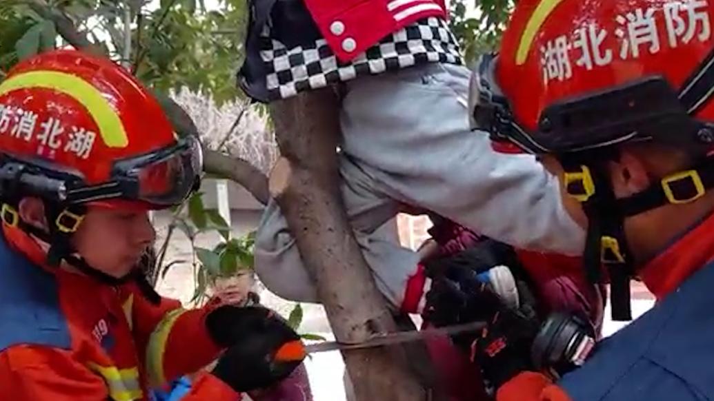 熊孩子爬树小腿卡在树杈上无法脱身，消防员锯树枝救出