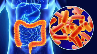 胃肠道疾病研究重大突破：具有免疫系统的类器官创建