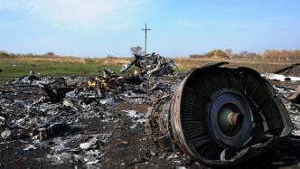 外媒：马航MH17坠机案调查暂停
