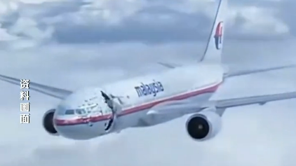 外媒：马航MH17坠机案调查暂停