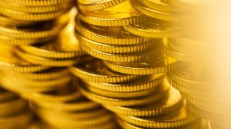 俄财政部：本年度国家财富基金将只保留黄金、卢布和人民币