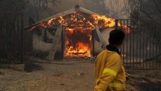 早安·世界｜智利森林火灾致22人死亡，多区进入紧急状态
