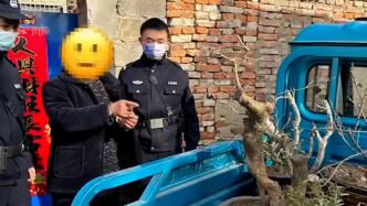 男子因愛花多次偷觀賞盆栽被抓