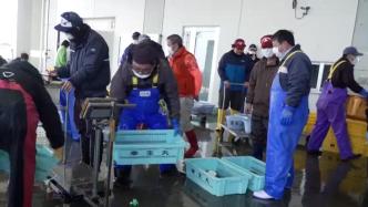 因放射性物质超标，日本福岛县暂停海鲈鱼上市