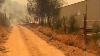 智利中南部森林火灾火势严峻，民众协助灭火