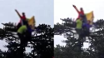 4名游客爬到松树顶端欢呼拍照，景区称正闭园出事概不负责