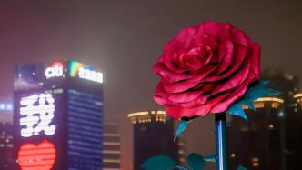 鲜花瀑布、巨型玫瑰！上海是懂浪漫的，这些地方你心动了吗？