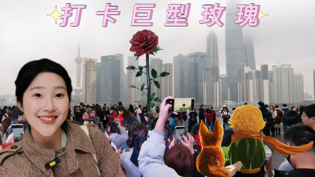 VLOG｜上海外滩巨型玫瑰火了，在这个懂浪漫的城市如何过情人节