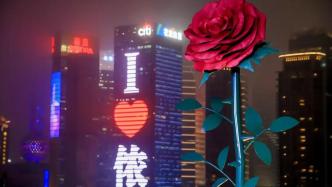城事｜上海，你是懂浪漫的！外滩巨型玫瑰与魔都天际线同框