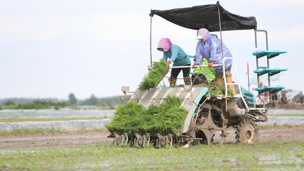 农业农村部：启动实施新一轮千亿斤粮食产能提升行动