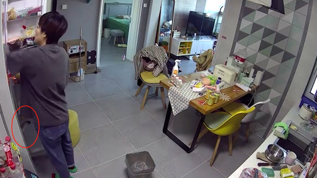 主人开冰箱放东西时猫咪跑进保鲜层：约1分钟，听到猫叫发现_锋线视频_澎湃新闻-The Paper