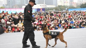 我国已成为世界上犯罪率最低、安全感最高的国家之一