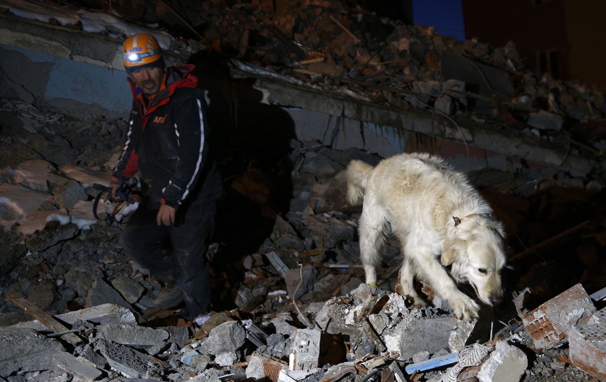 《消防员&搜救犬》——“这一年”—四川应急管理、安全生产、防灾、减灾、救灾图片投票