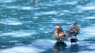 雨水节气一定下雨吗？全国春雨地图看哪里降雨最丰沛