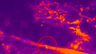 民警荒野無人機熱成像硬核尋娃