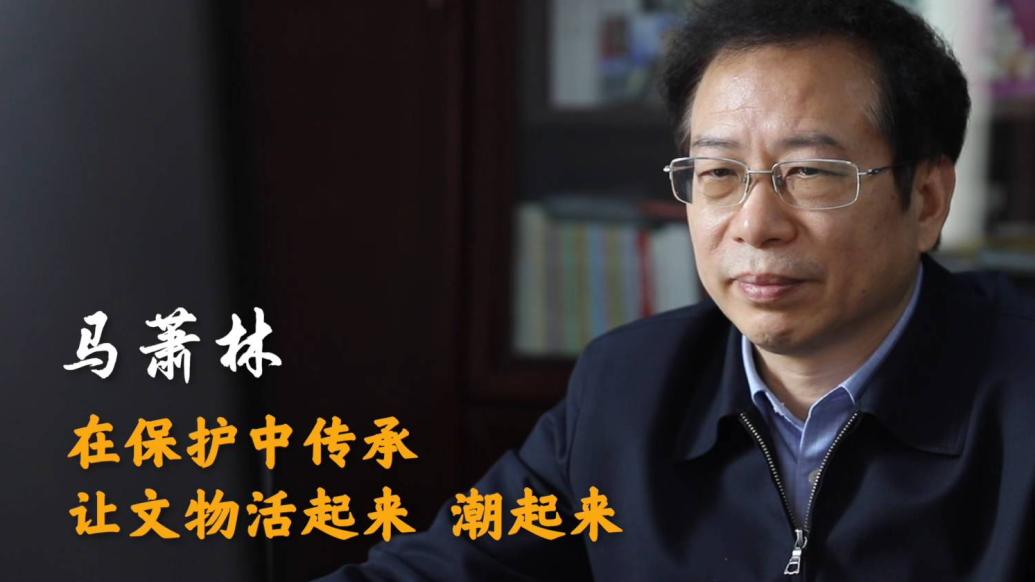 代表委员履职故事｜马萧林：在保护中传承让文物“潮”起来