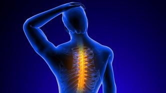 美国科学家“重燃”失灵脊髓细胞，改善两名中风患者上肢肌力不足