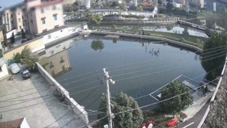 杭州一小车驶入池塘，警民联手施救被困人员