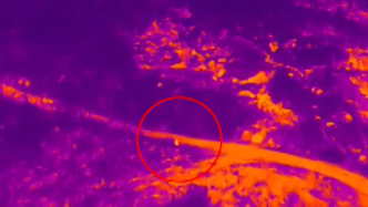 9歲幼童離家出走消失在邊境荒野，警方用無人機熱成像尋回