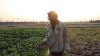 生活在中国：在沪外籍友人寻觅荠菜里的农耕文化