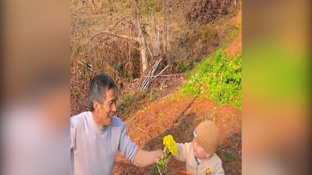 爷爷带孙子田间锄地画面温馨